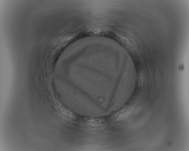 X0000090861105200708171559