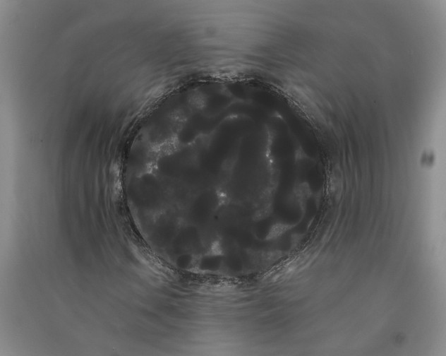 X0000090861106200708171559