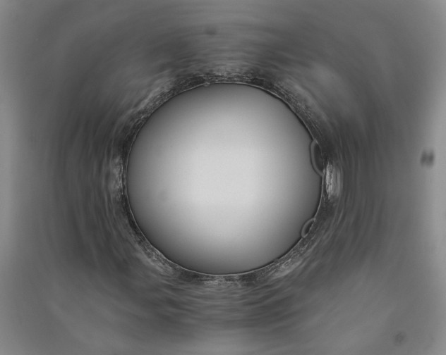 X0000090861107200708171559