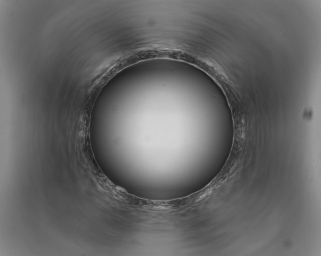 X0000090861110200708171559