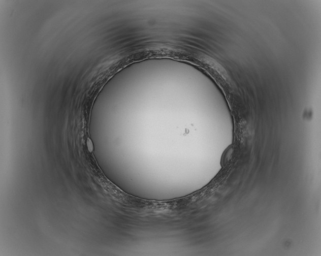 X0000090861111200708171559