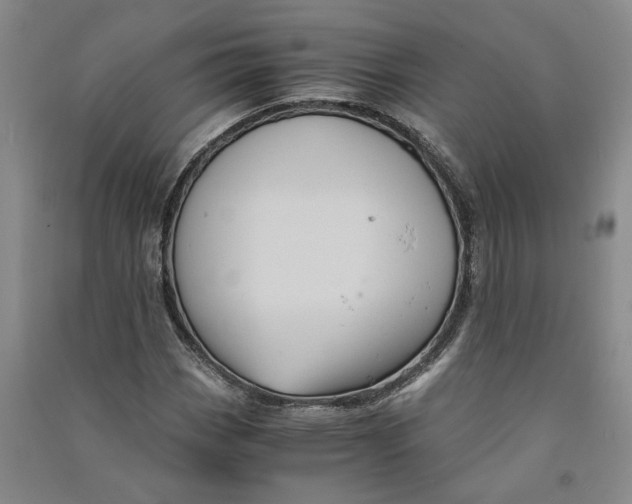 X0000090861113200708171600