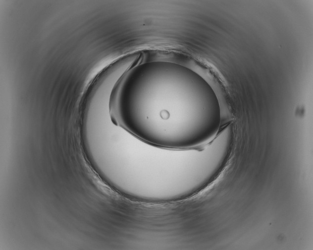 X0000090861114200708171600