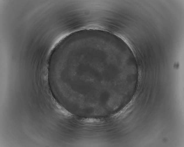 X0000090861115200708171600
