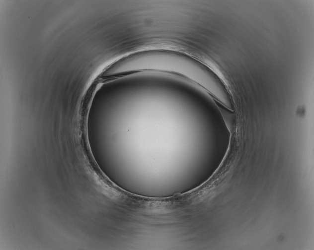 X0000090861116200708171600