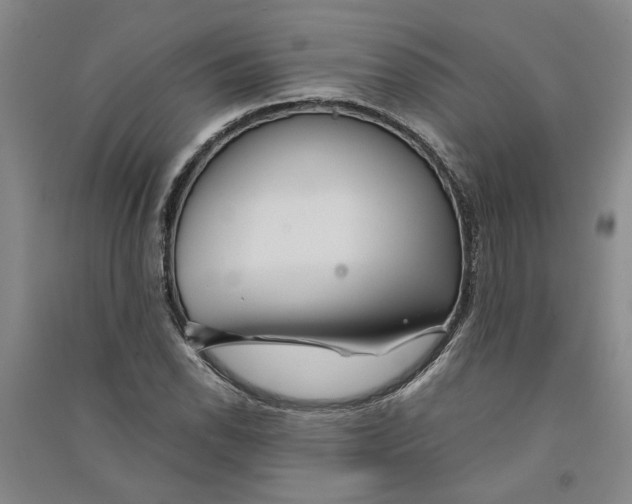 X0000090861118200708171600