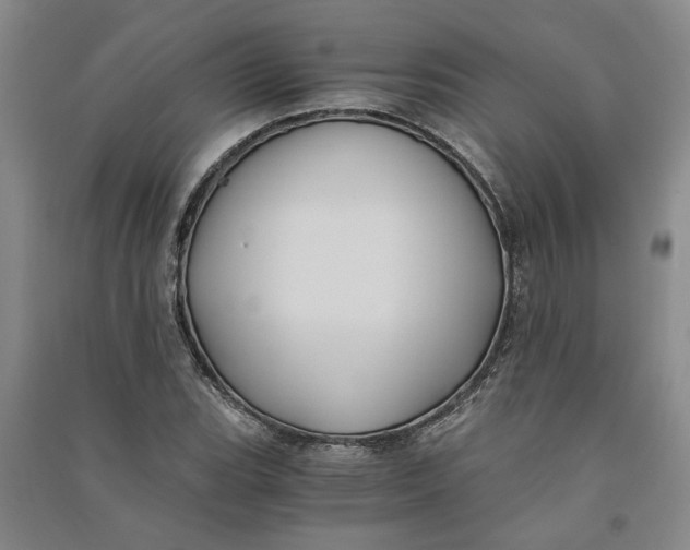 X0000090861119200708171600