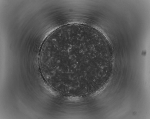 X0000090861121200708171600
