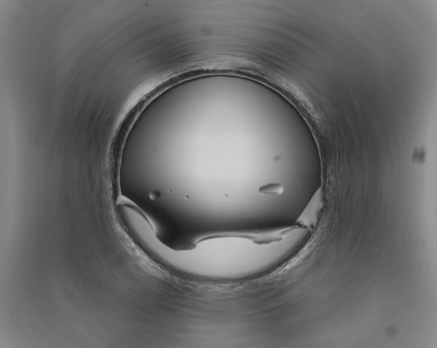X0000090861122200708171600