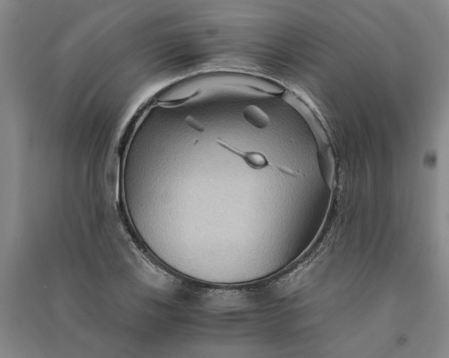X0000090861123200708171600