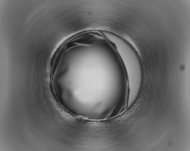 X0000090861124200708171600