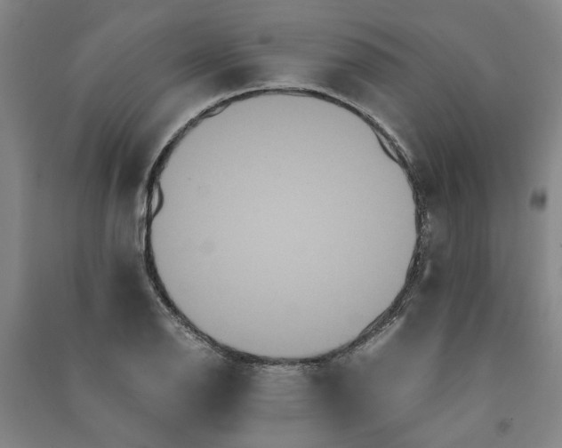 X0000090861126200708171600