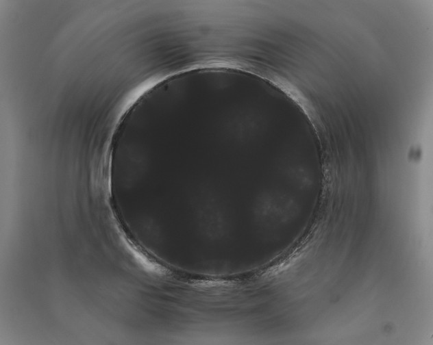 X0000090861127200708171600