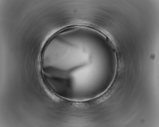 X0000090861128200708171600