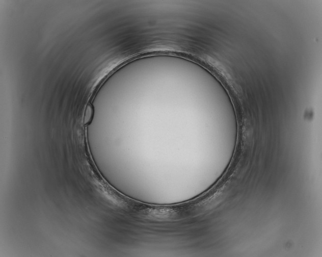 X0000090861129200708171600