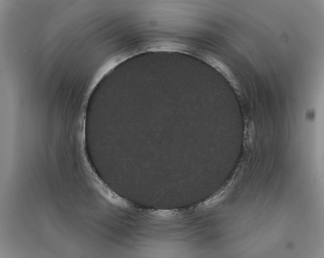 X0000090861130200708171600