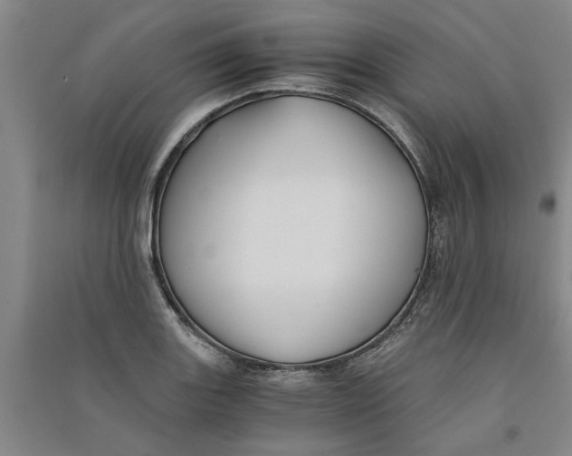 X0000090861131200708171600