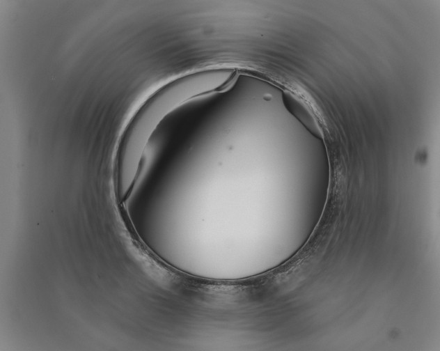 X0000090861132200708171600