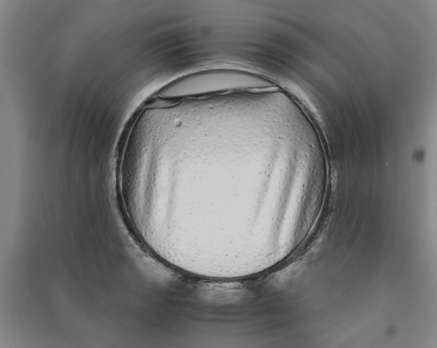 X0000090861133200708171600