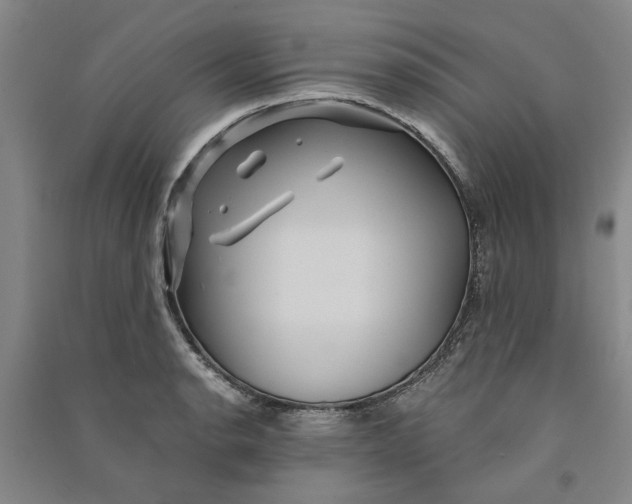 X0000090861134200708171600