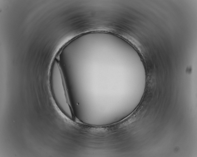 X0000090861135200708171600