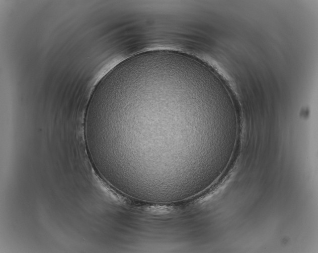 X0000090861137200708171600
