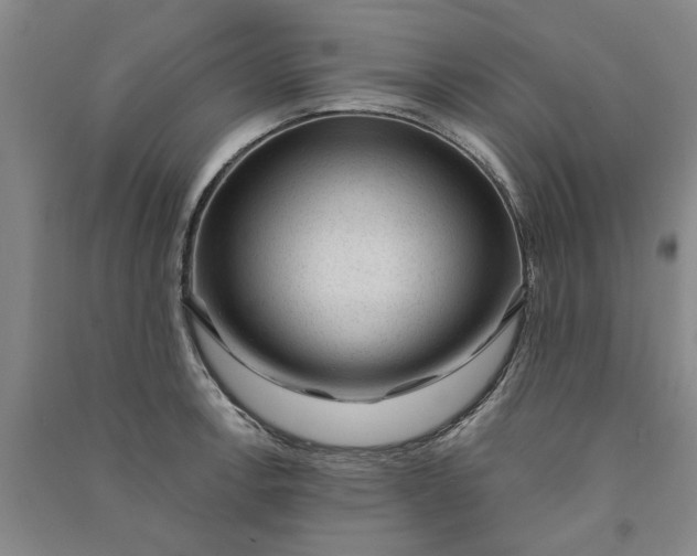 X0000090861138200708171600