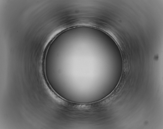 X0000090861139200708171600