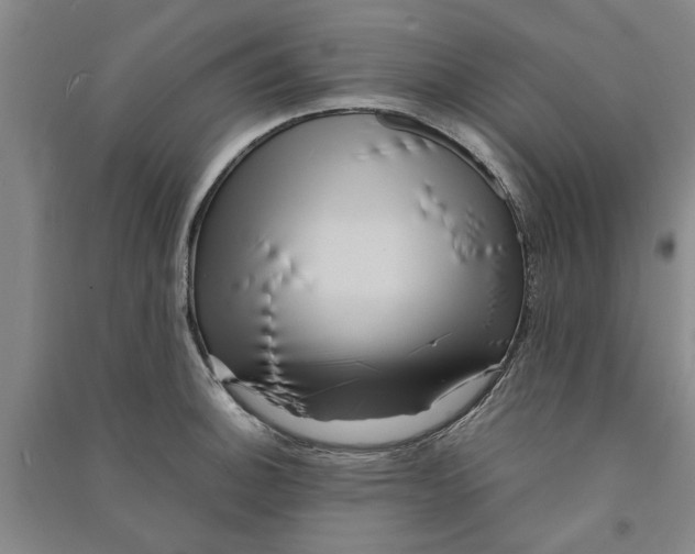 X0000090861140200708171600