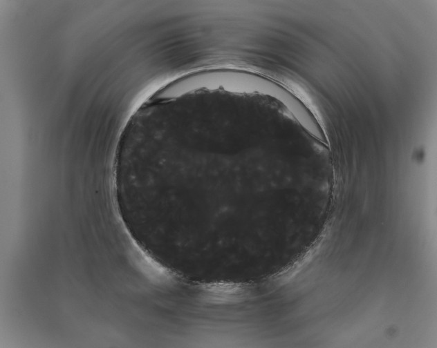 X0000090861141200708171600
