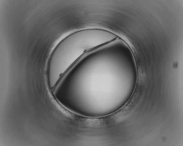 X0000090861142200708171600