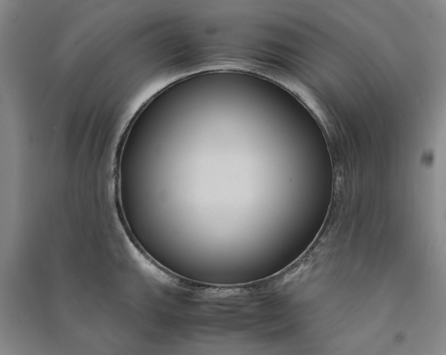 X0000090861143200708171600