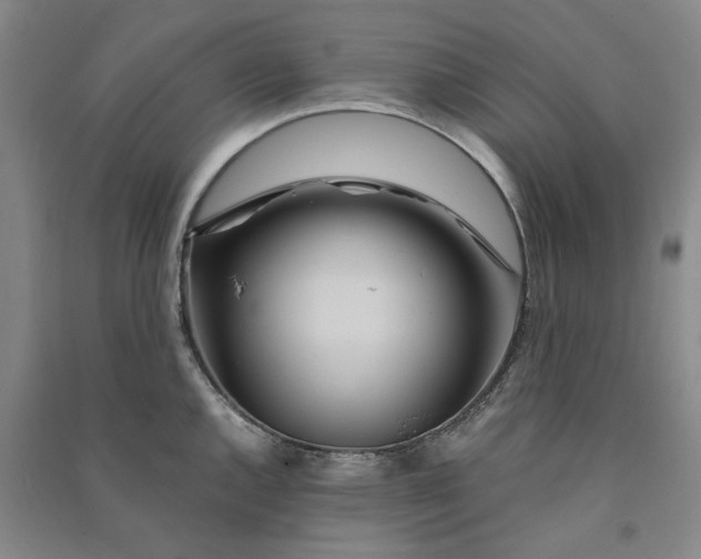 X0000090861144200708171600