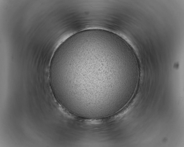 X0000090861145200708171600