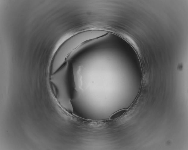 X0000090861146200708171600