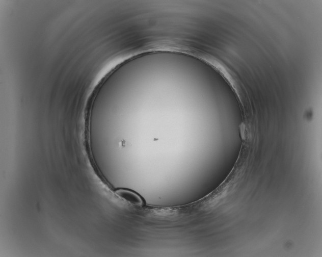 X0000090861147200708171600