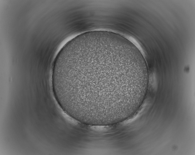 X0000090861149200708171600