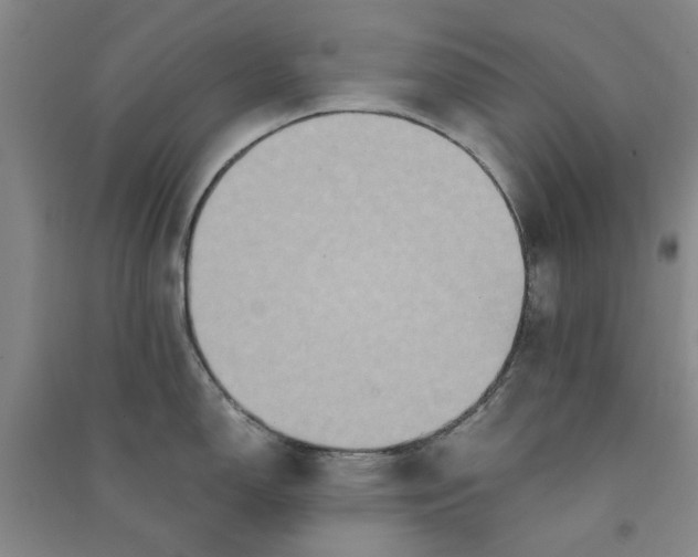 X0000090861150200708171600