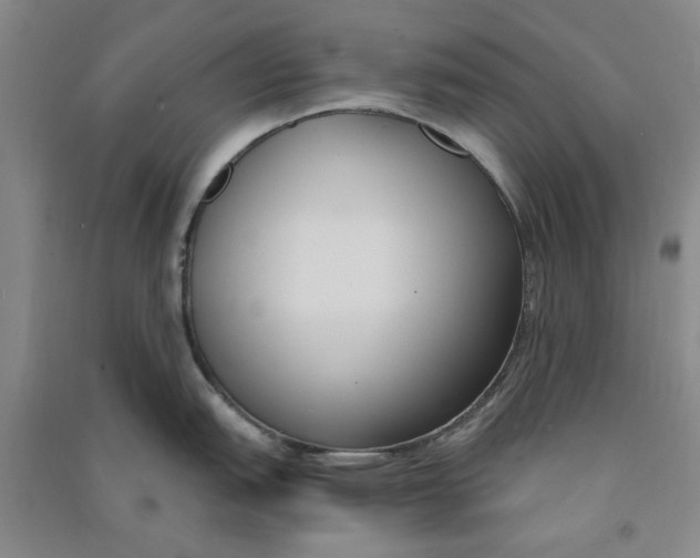 X0000090861151200708171600