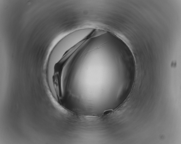 X0000090861152200708171600