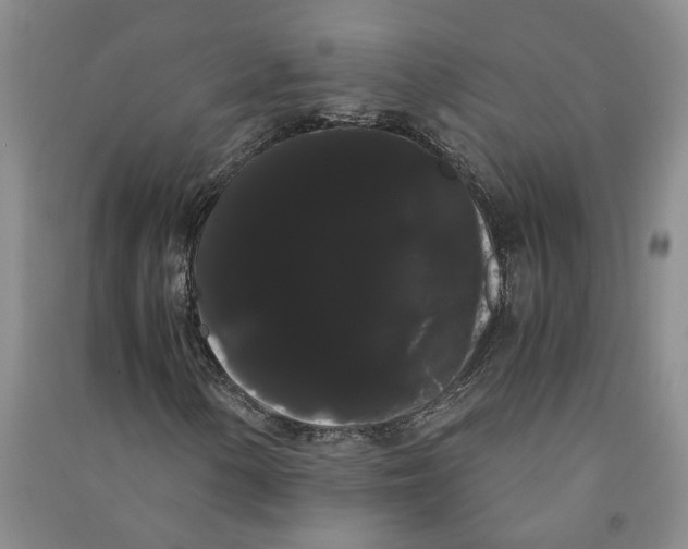 X0000090861154200708171559