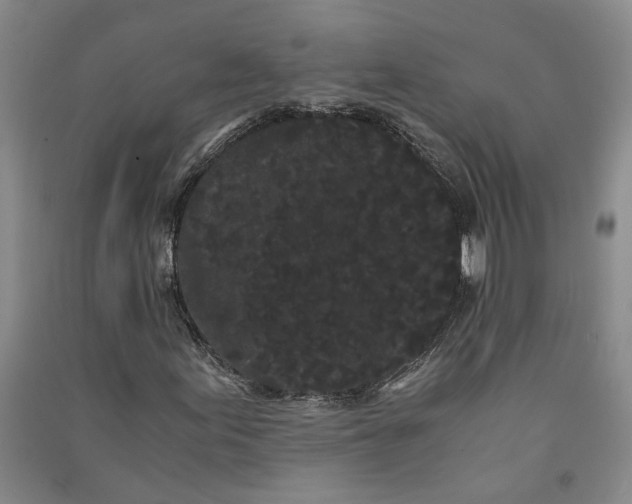 X0000090861155200708171559