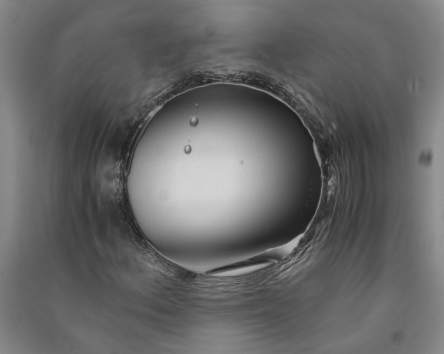 X0000090861156200708171559