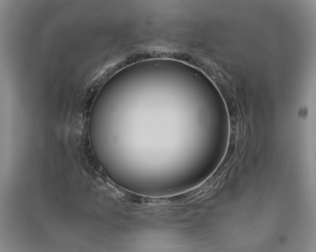 X0000090861157200708171559