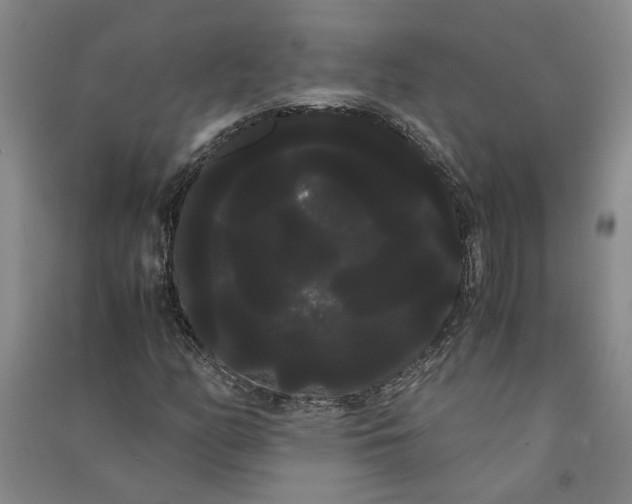 X0000090861158200708171559