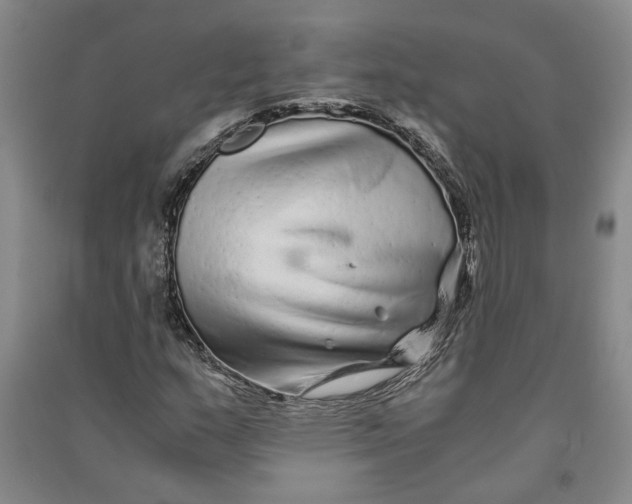 X0000090861159200708171559