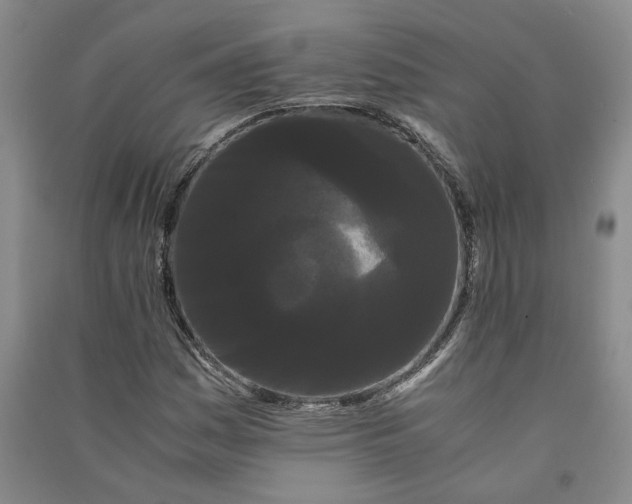 X0000090861161200708171559