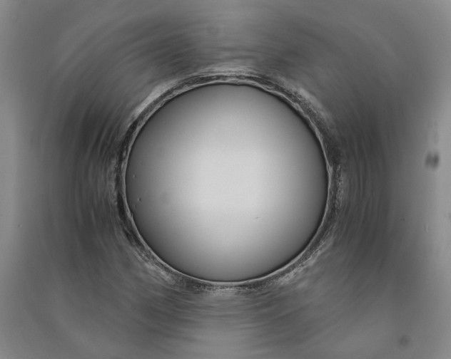 X0000090861162200708171559
