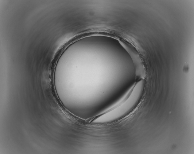 X0000090861164200708171559