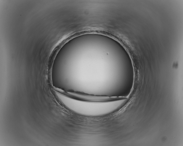 X0000090861165200708171559